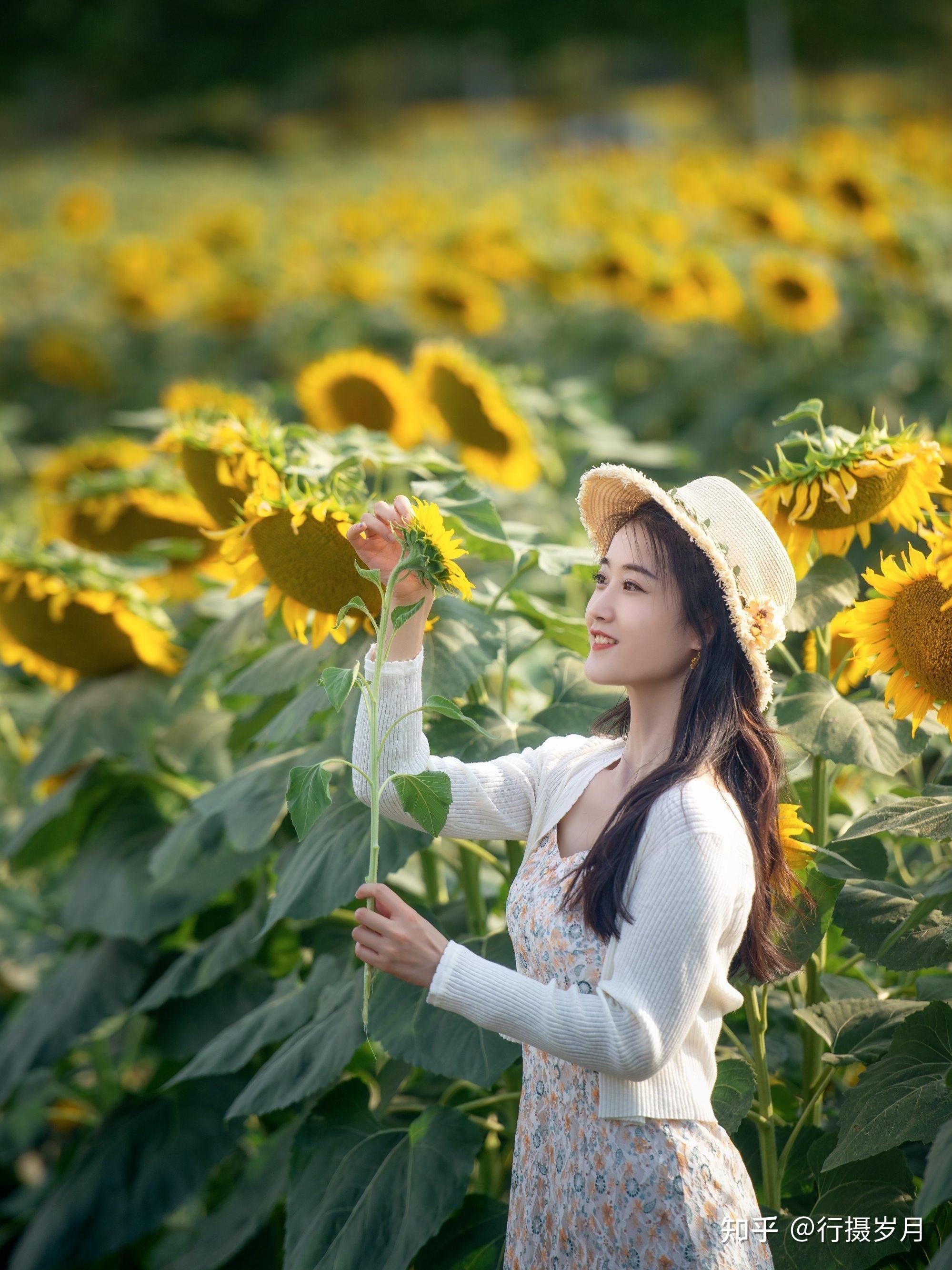 在一朵花里寻觅芬芳