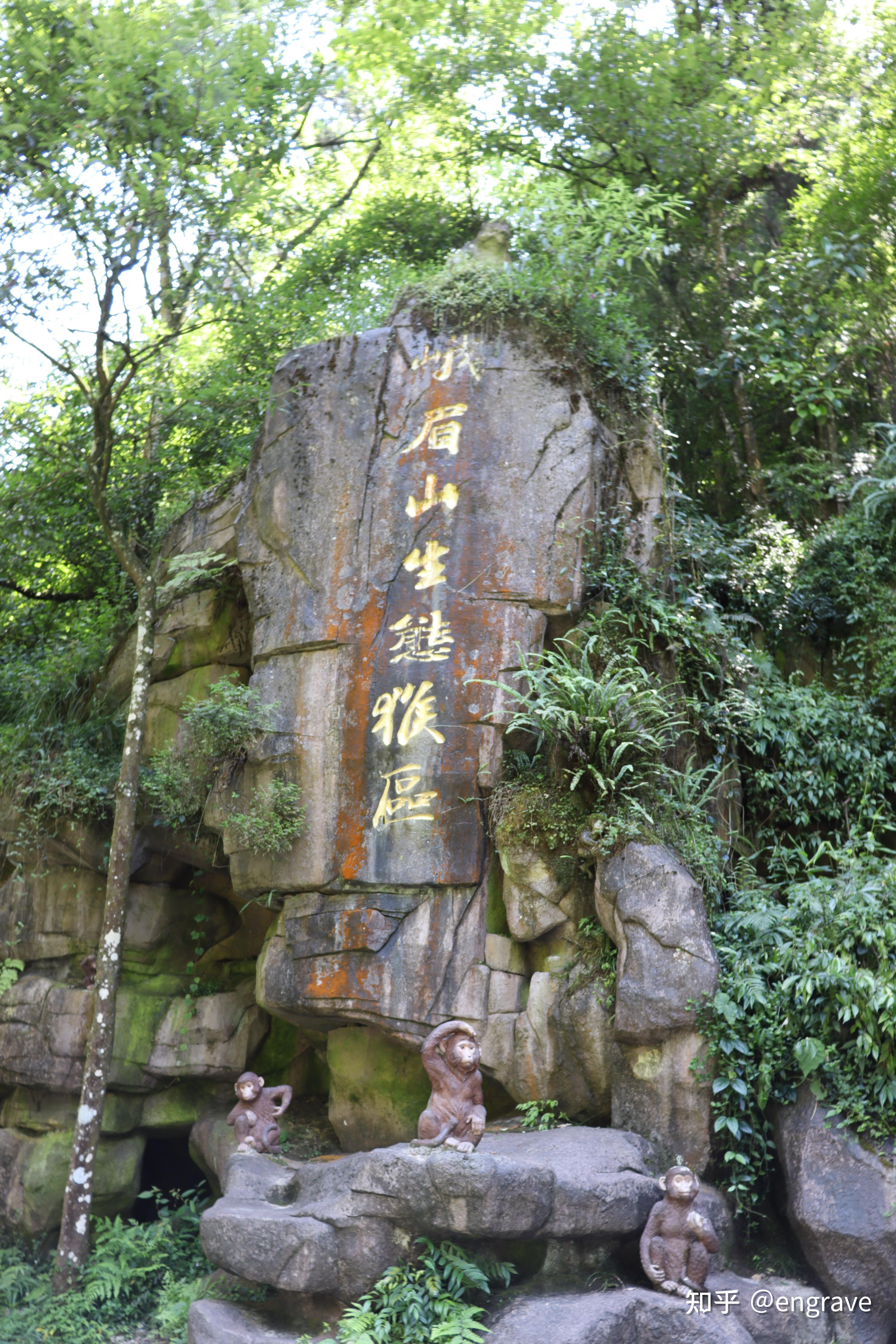 徒步爬峨眉山的攻略游记供老铁们参考哦