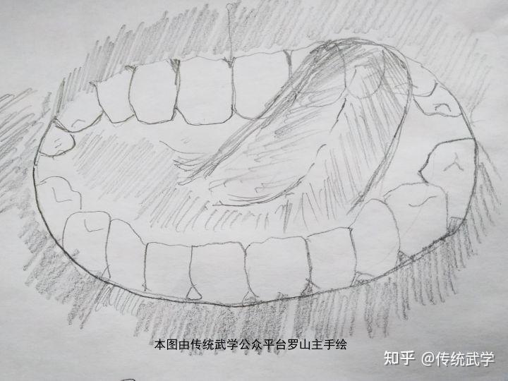 男左女右,从上到下,即男性用舌头从上磨牙最右侧往左数到左上磨牙