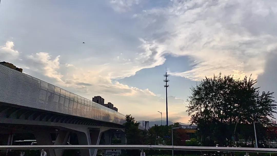 《牧马城市》心向牧马,身陷城市,那些被我们遗忘的理想