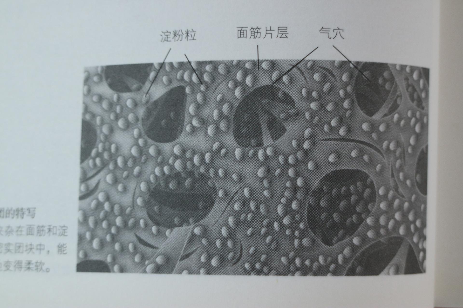 烘焙中的食品添加剂有哪些？老师傅来揭秘这些黑科技 - 知乎