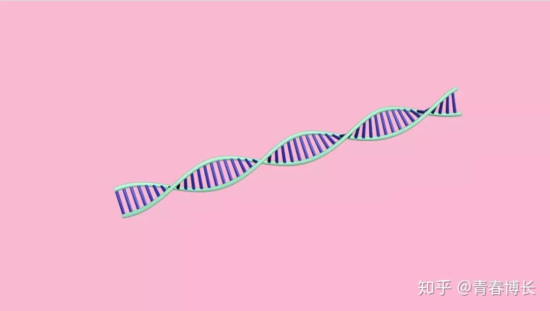 如何用3dsmax画DNA双螺旋三维结构？ - 知乎