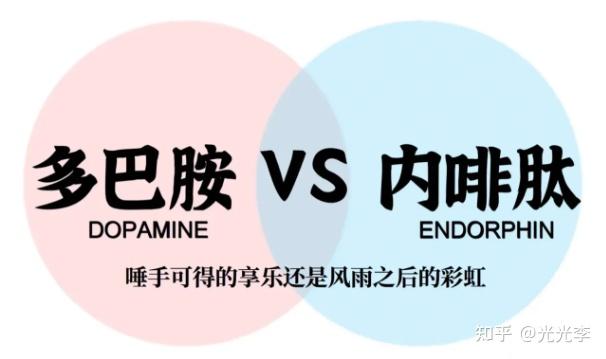 多巴胺vs内啡肽：你身体里的快乐双引擎 - 知乎