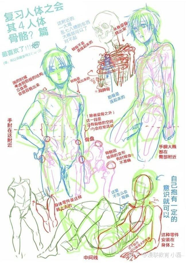 「教程」了解漫画人体结构,专业漫画教程