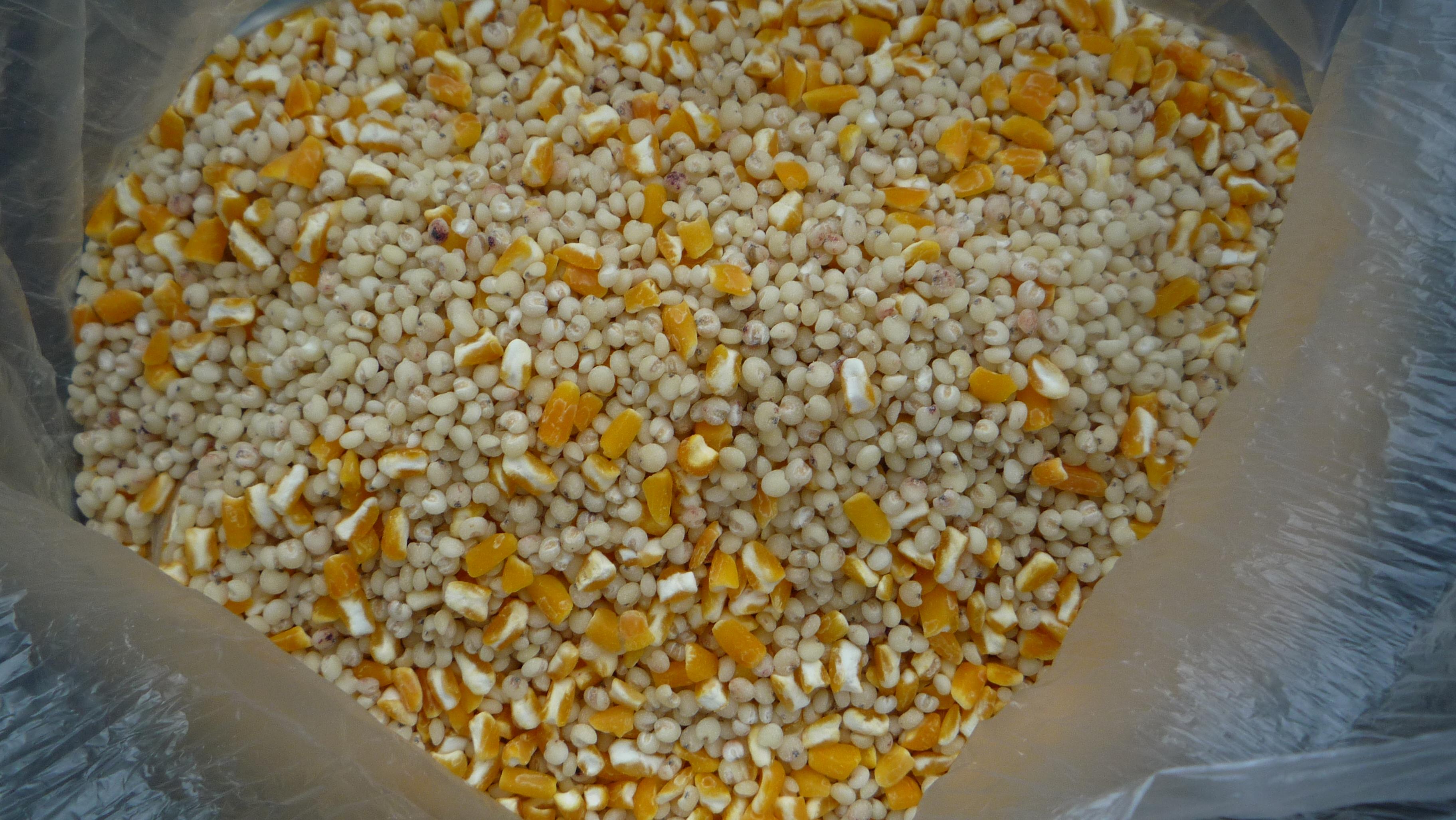 东北粘玉米大碴子 黑龙江五常特产芸豆玉米大碴粥大粒苞米茬5斤-阿里巴巴