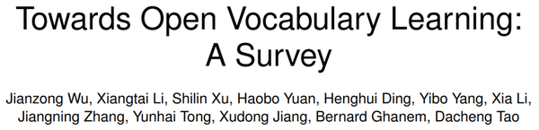 towards open vocabulary learning a survey