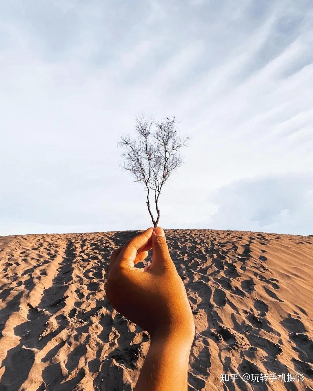 醒醒你根本不会用手拍照