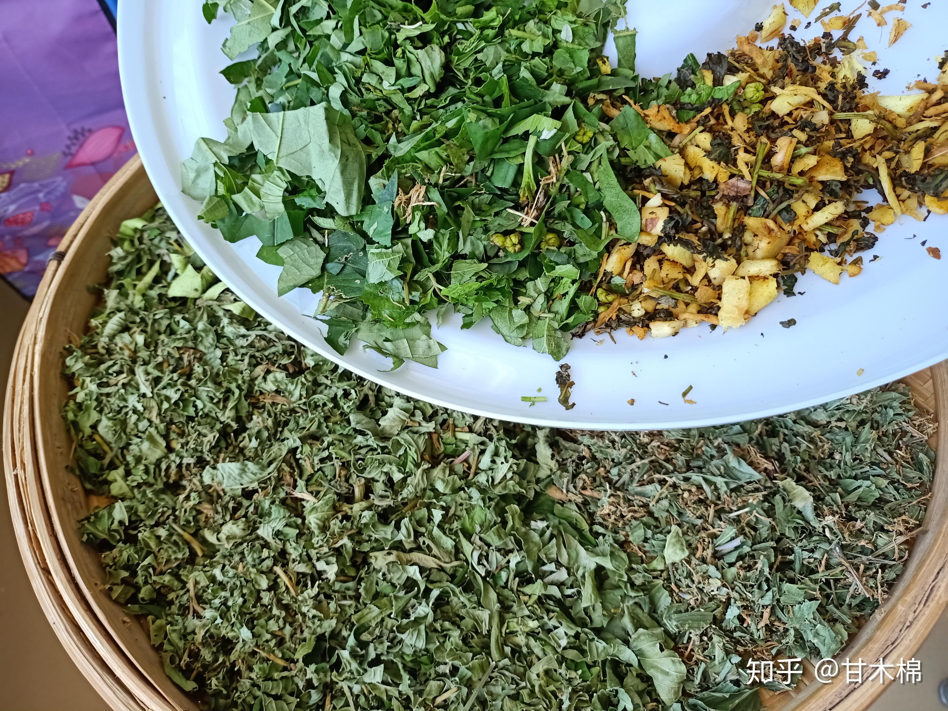 农村1种叫酒饼婆的植物可用来制作酒曲也是小时候常吃的野果