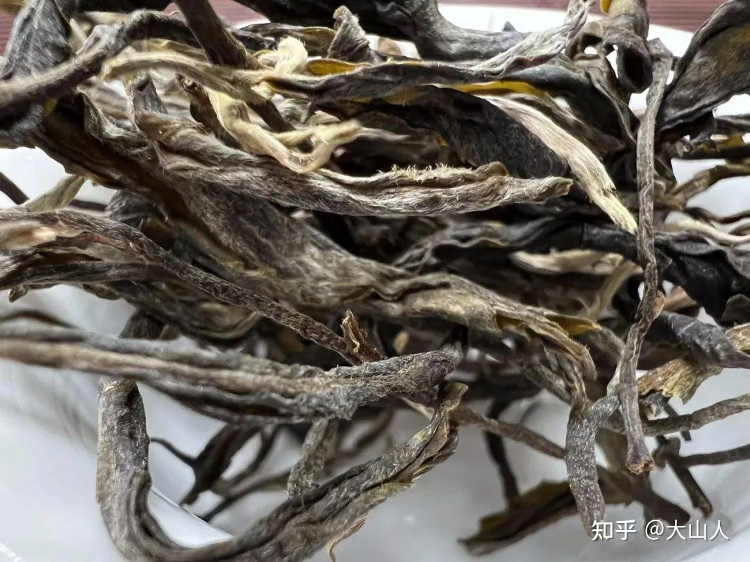 普洱新秀"犀牛塘",号称"大器天成"