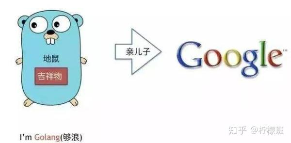 Go语言的特点1、学习曲线容易Go语言语法简单，包 - 图4