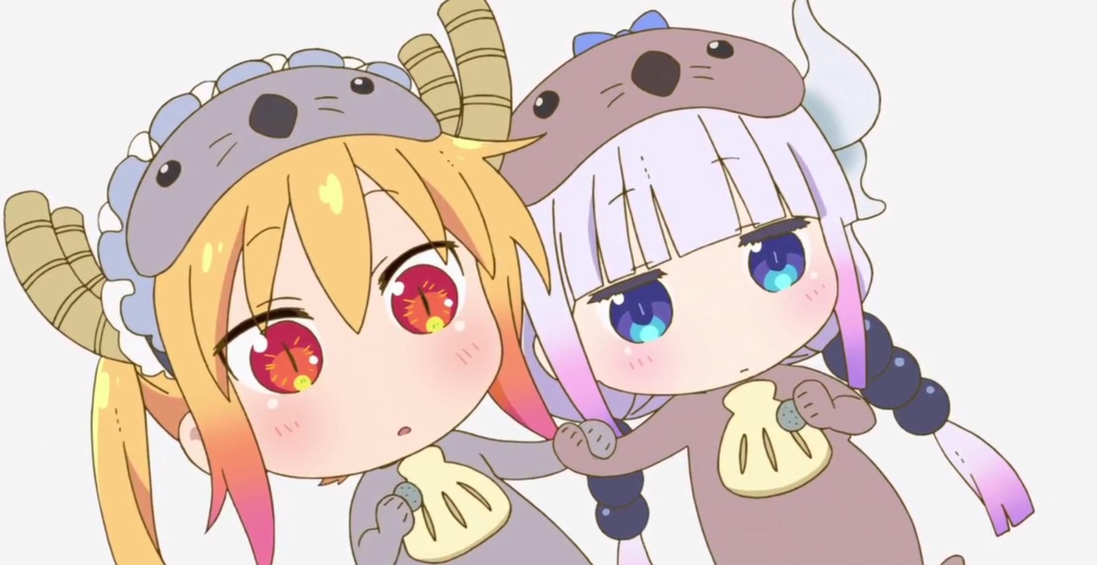 b萌 - 收藏夹 - 知乎