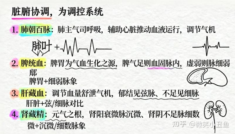 中医《脉象》相关内容汇总 - 知乎