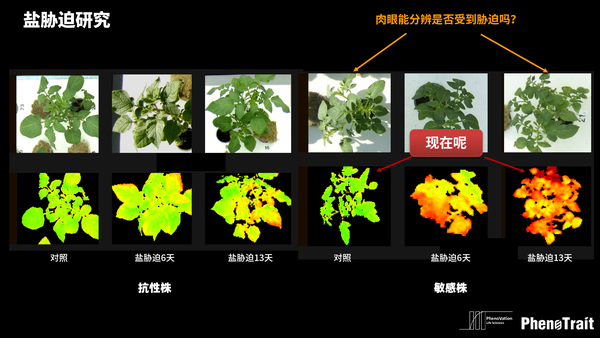 植物表型与智慧农业 - 知乎