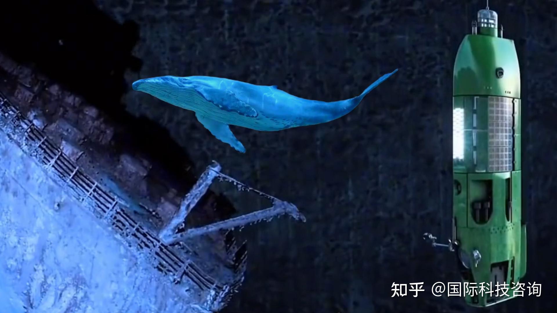 潜入海洋深处的爱与冒险
