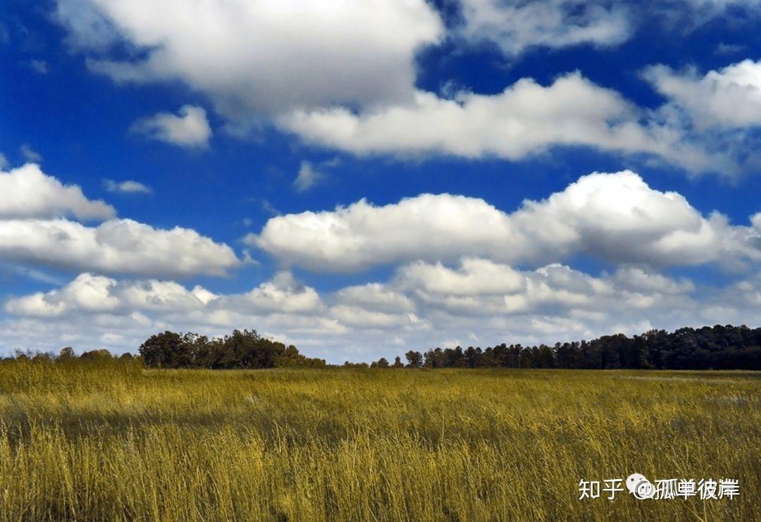 有卷积云的北京天空好美!是不是还有池化云?全连接云?(北京天空引擎数字科技有限公司)