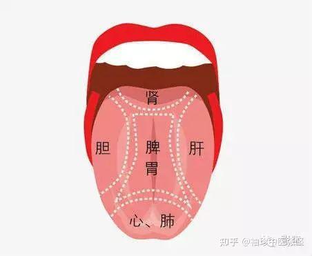 珍贵的舌诊图谱(收藏版) - 知乎