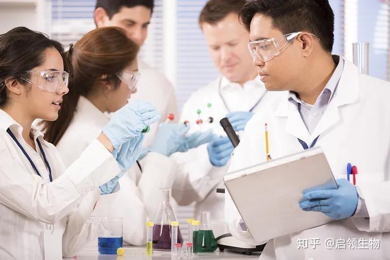 临床课堂如何开展临床试验