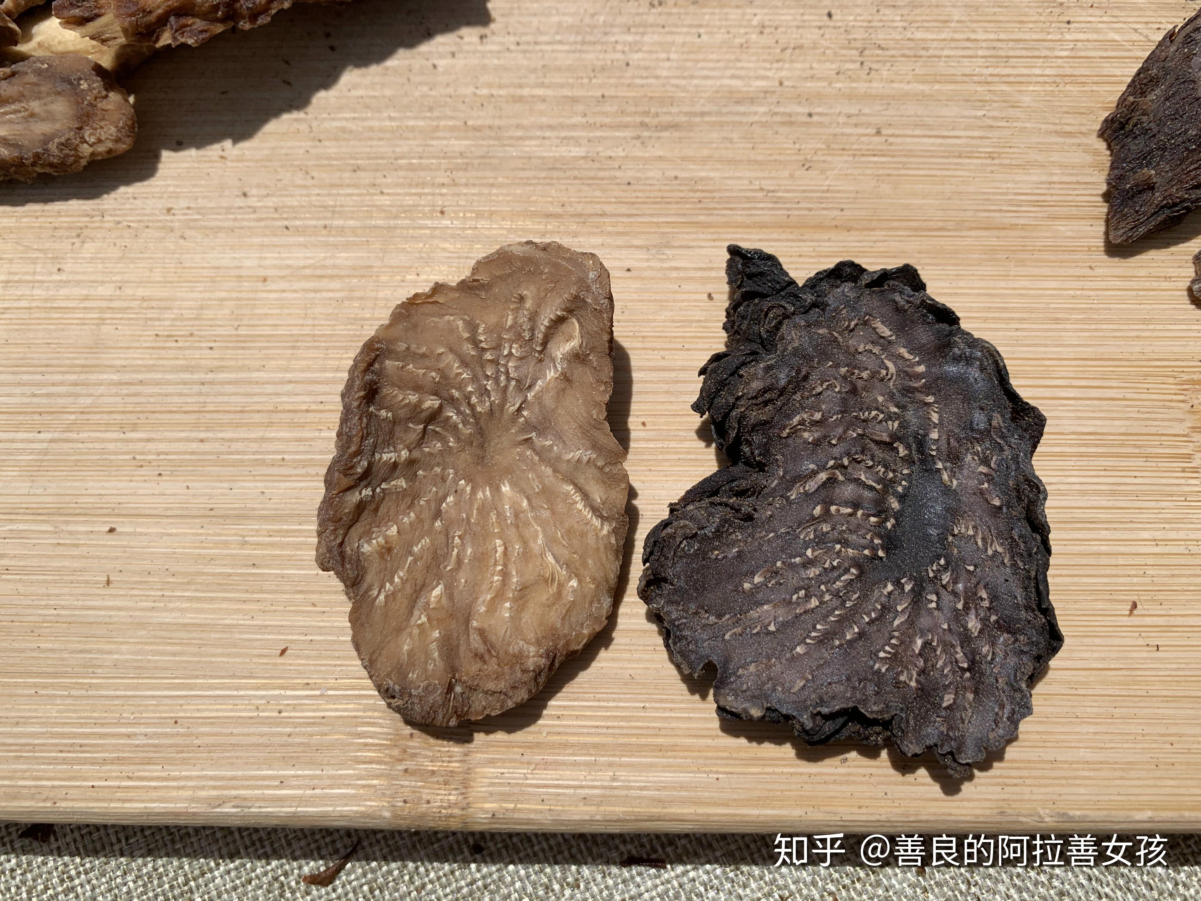 肉苁蓉的保存方法