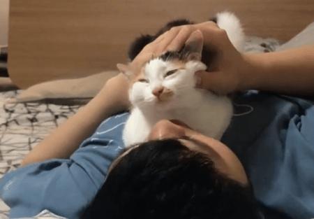 动图封面