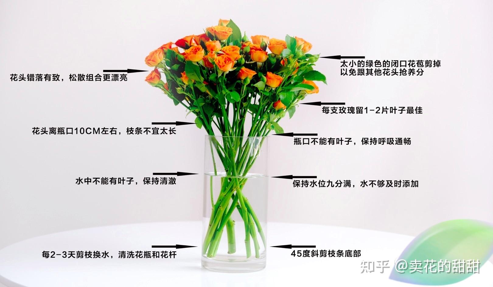 多头玫瑰的养护