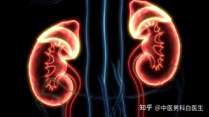 中医对于肾虚的治疗是怎样的 - 知乎