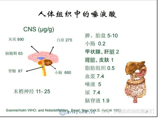 唾液酸偏低图片