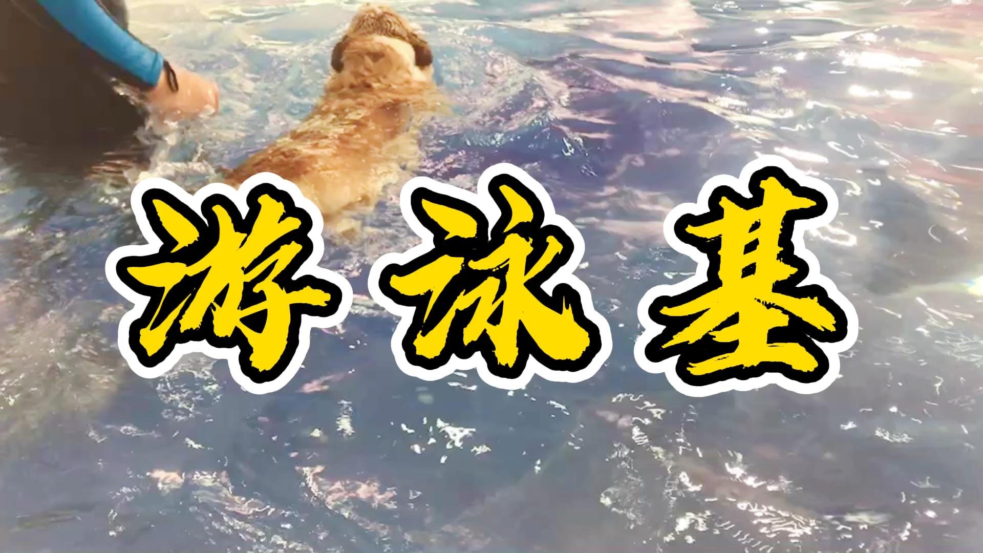 托马斯回旋基