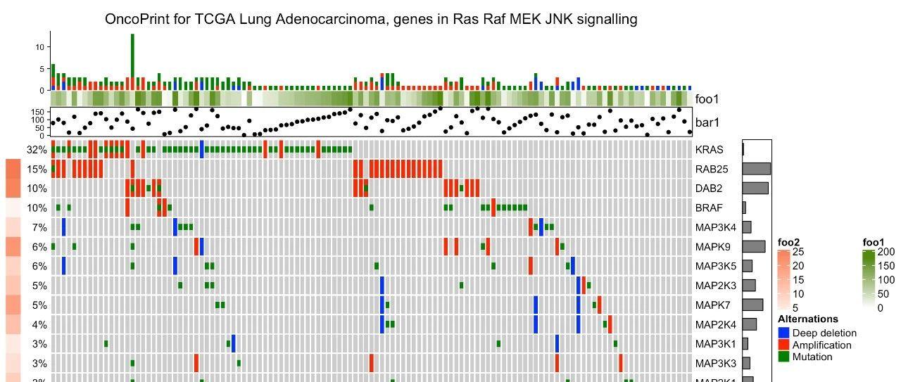 complexheatmap绘制全基因组突变景观图
