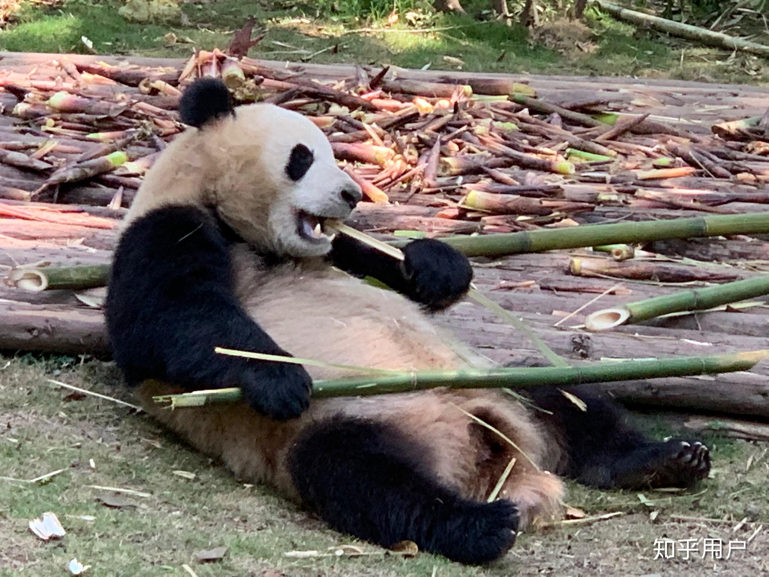 做核酸检测是什么感觉