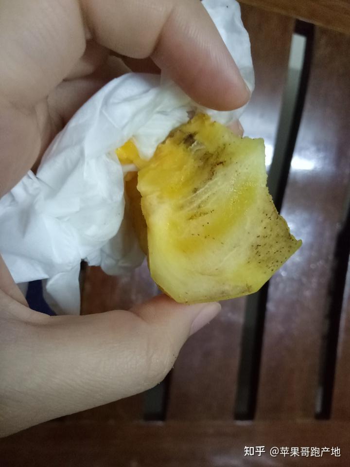 树上熟脆柿子简介和脆柿子一些常见问题