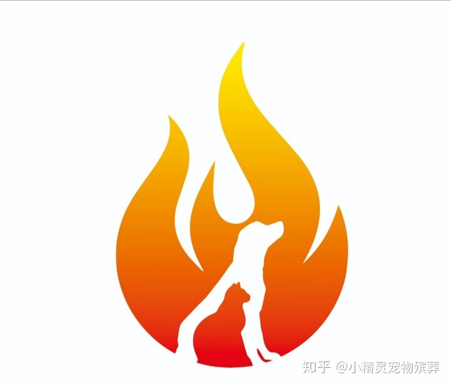 南京宠物火化殡葬善后的选择