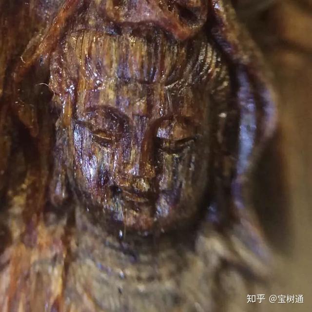 銘「白」　佐曽羅　聞香　香木　沈香　香道　奇南　伽南　沉香 新知｜一克沉香万两金！“四大名香”之首的沉香有何来头-齐鲁晚报网