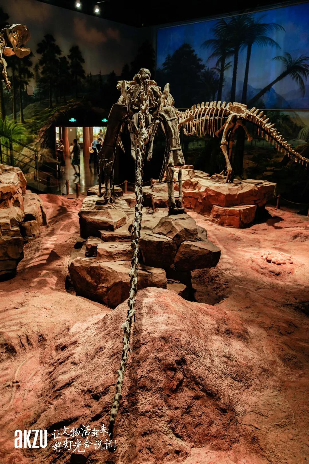 永川博物馆｜埃克苏灯光为您再现亿万年前恐龙故园的神秘与震撼！ - 知乎