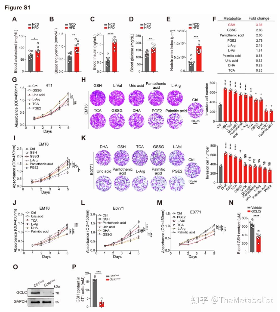 glutathione metabolism 中文 Cell Metabolism：肥胖的“谷”惑：抗氧化卫士变癌症帮凶- 知乎 Blemish Prone