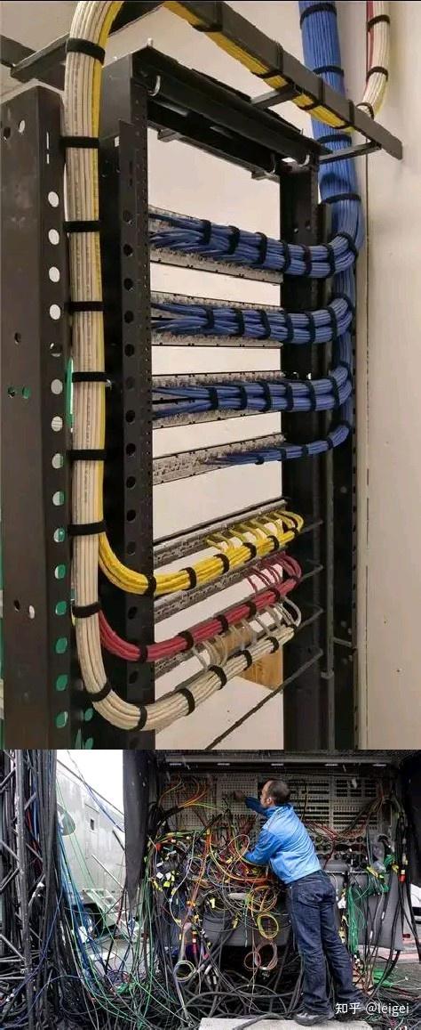 附图当中,上面的图是德国人的,下面的图是印度人的