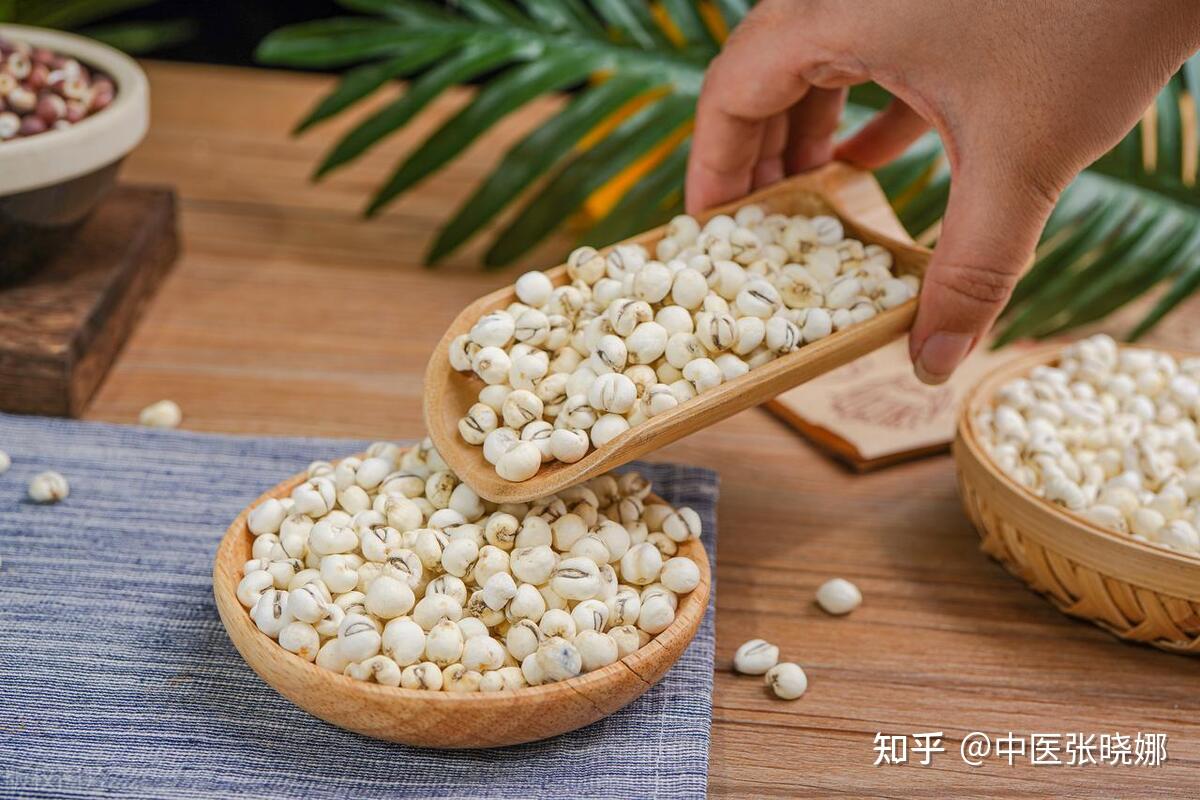 方子仅有当归,贝母,苦参组成,其中当归有着"补血第一药"之称,可以活血