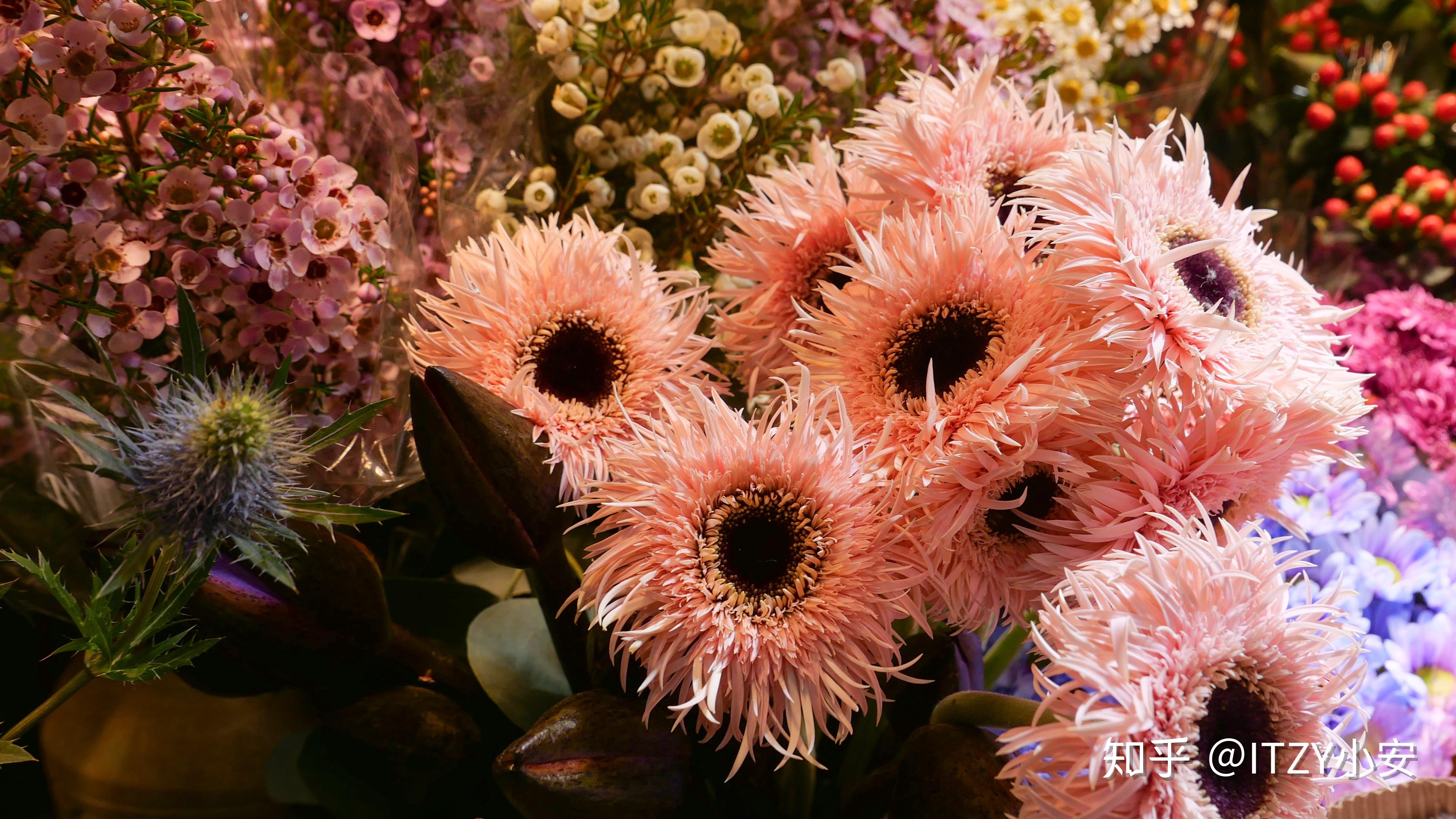 松下lx100m2样片松下lx100m2样片等效24mm端的分辨率试拍中,光圈f/1.