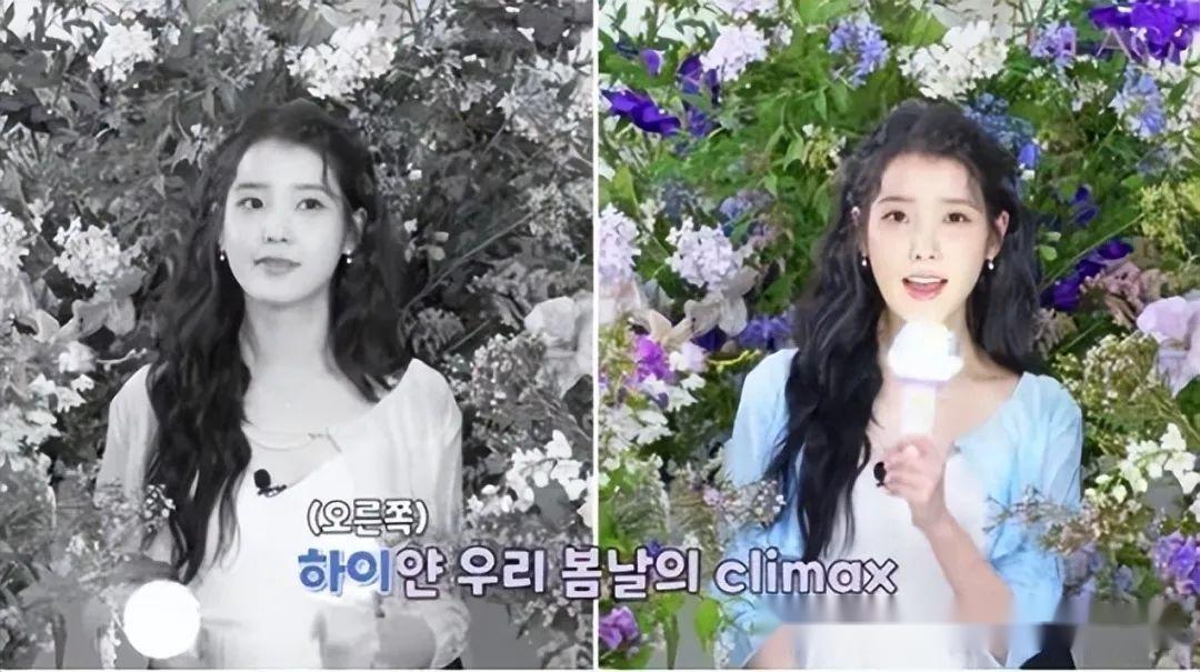 iu李知恩将举办单独演唱会?本人亲自教授"丁香花应援法"