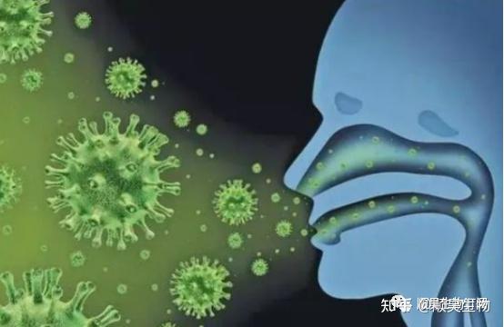 【父母必读】孩子易感染腺病毒,干细胞是否有效? - 知乎