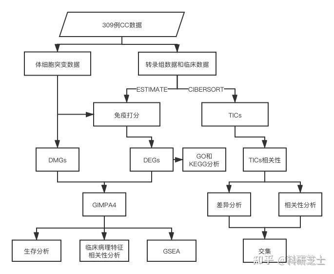 流程作者使用cibersort和estimate算法計算309例cc患者tics比例和免疫