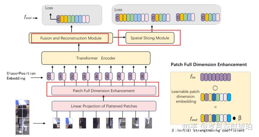 2022CVPR- Short Range Correlation Transformer for Occluded Person Re ...