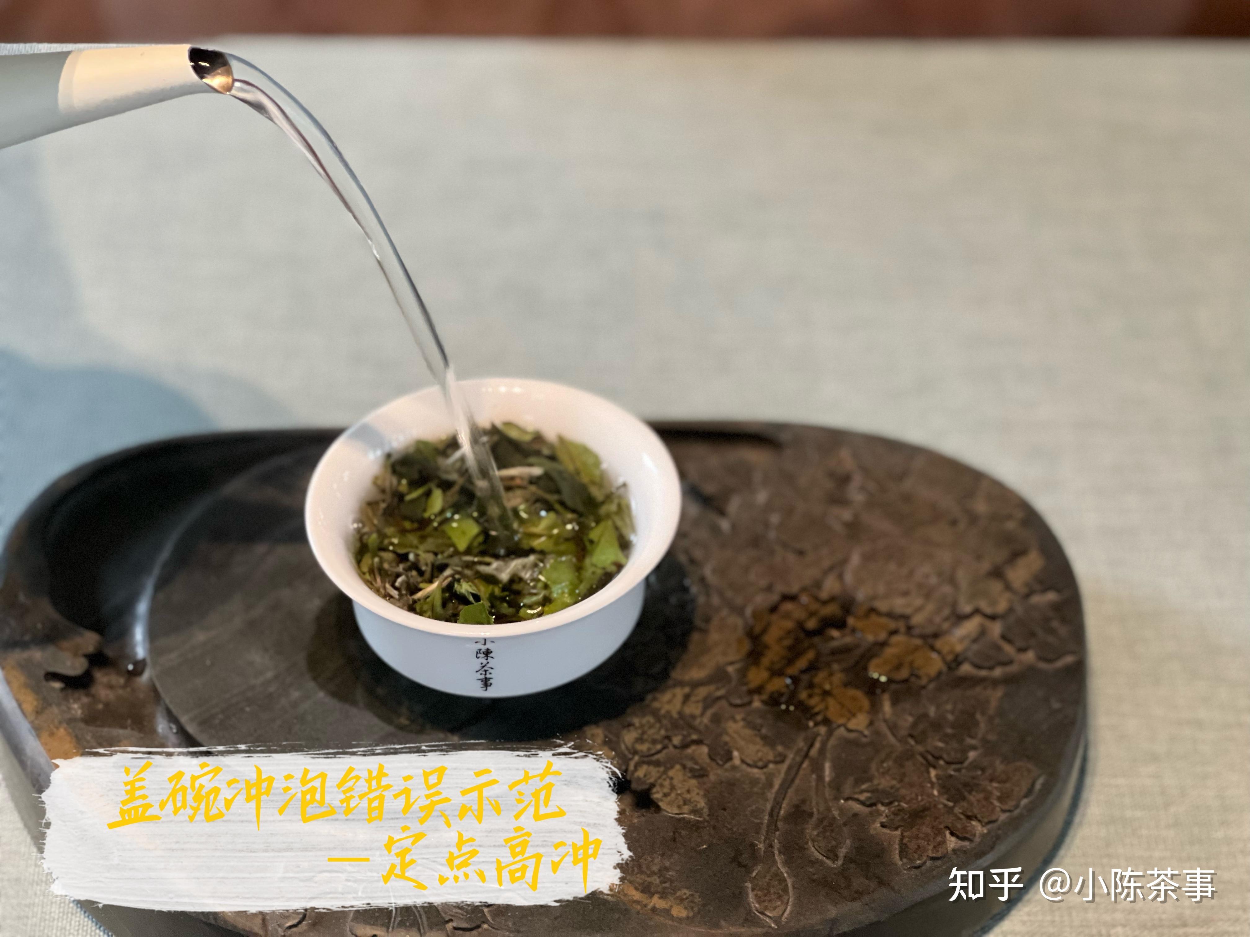 古树普洱茶怎么泡_步骤【图】-润元昌普洱茶网