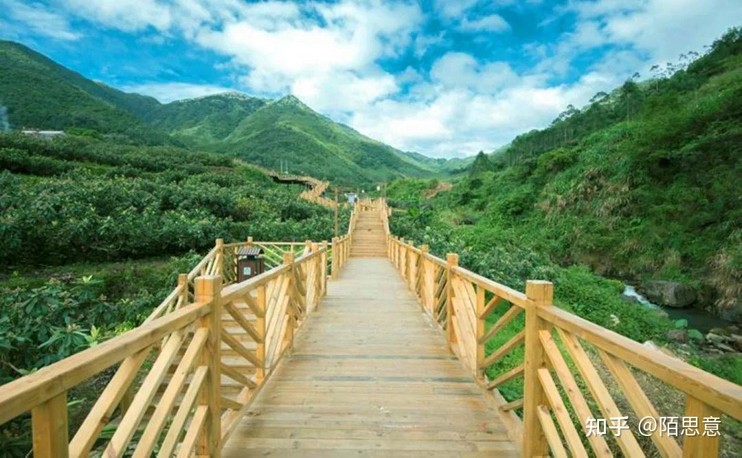枇杷从福建云霄来