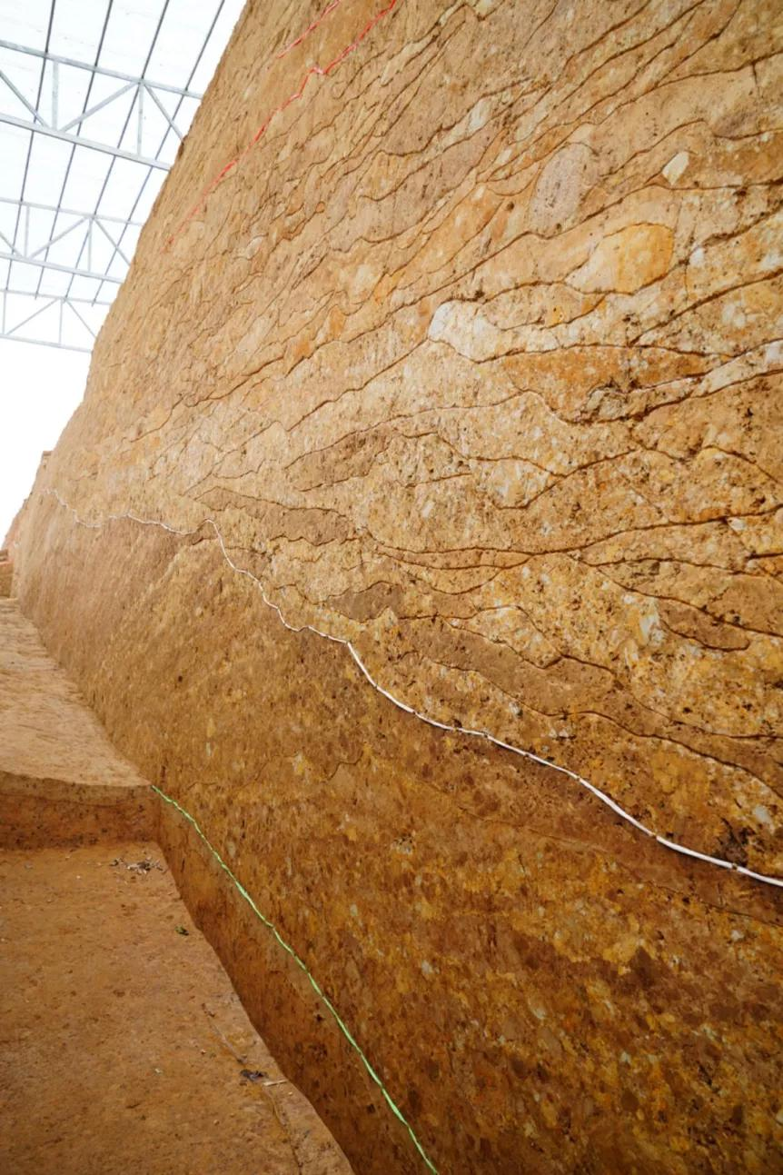 七星墩遗址带你探索湖南规模最大的史前城址