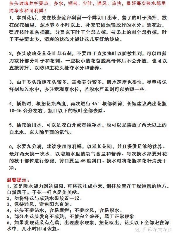 多头玫瑰养护说明:收到鲜花一定要,深水醒花,要修剪枝干 叶子要多去
