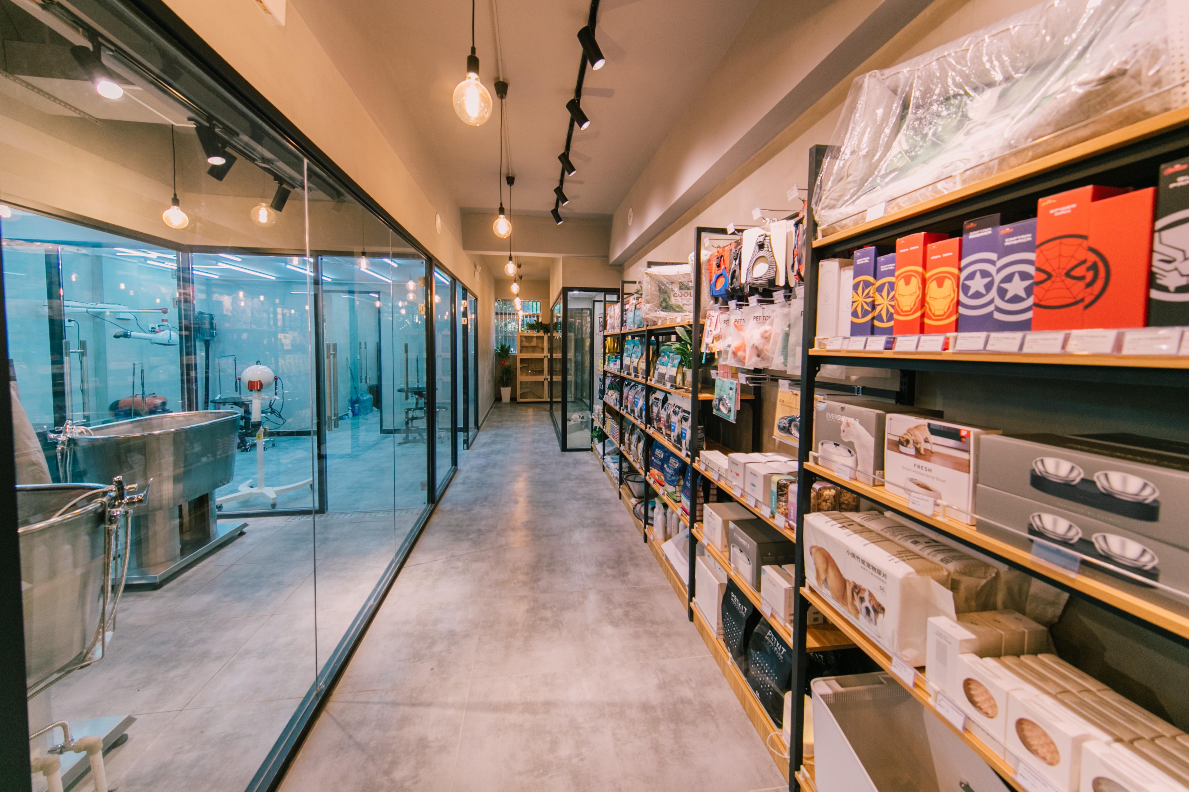 如何开一家家庭猫舍?想做猫舍如何起步