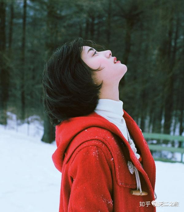 全世界都下雪的冬天 为什么一定要去北海道 知乎