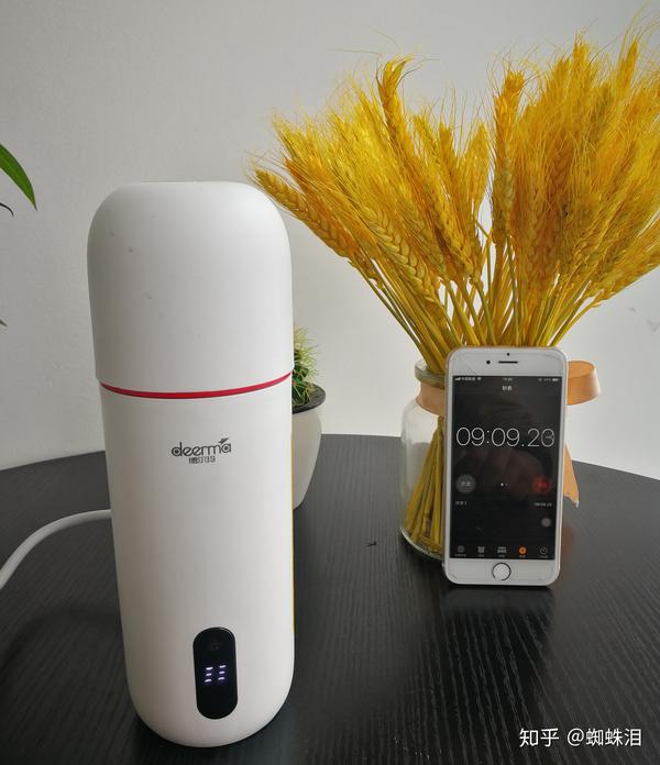 (3)德尔玛便携式电热水杯