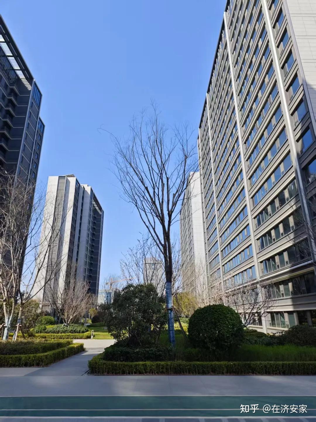 在济南绿城春月锦庐,感受到了啥叫岁月静好 - 知乎