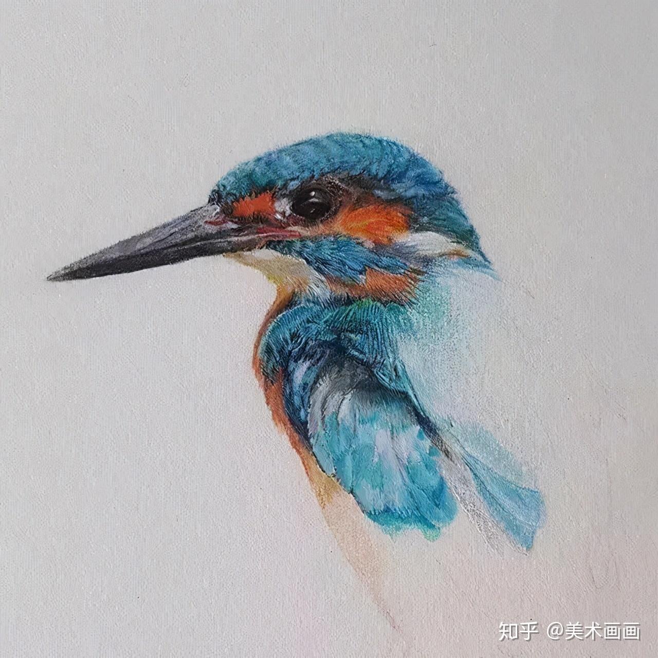画鸟的教程有哪些?怎么画鸟? - 知乎